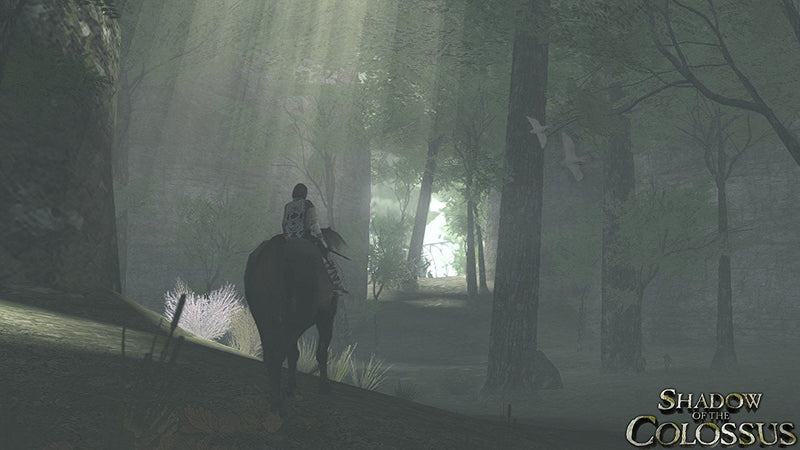 The ICO & Shadow of the Colossus Collection [PlayStation 3]
