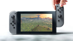 Nintendo Switch Console - Gray Joy-Con [Nintendo Switch System]