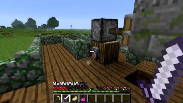 Minecraft: Wii U Edition [Nintendo Wii U]