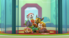 PAW Patrol: Sports Day [DVD]