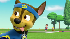 PAW Patrol: Sports Day [DVD]