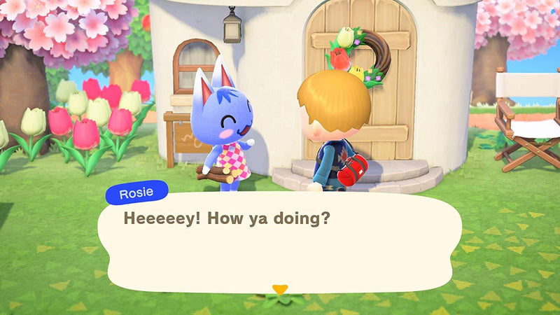 Animal Crossing: New Horizons [Nintendo Switch]