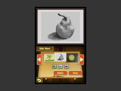 Art Academy: Learn Painting and Drawing Techniques With Step-by-Step Training [Nintendo DS DSi]
