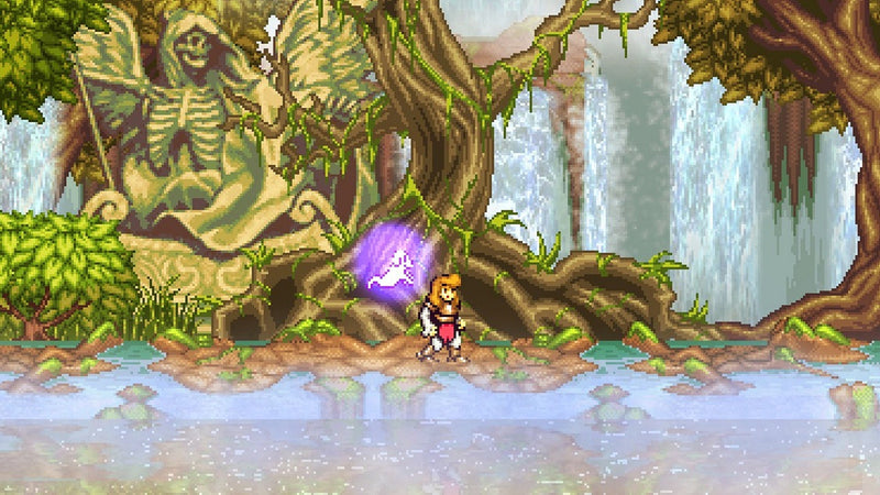 Battle Princess Madelyn [PlayStation 4]