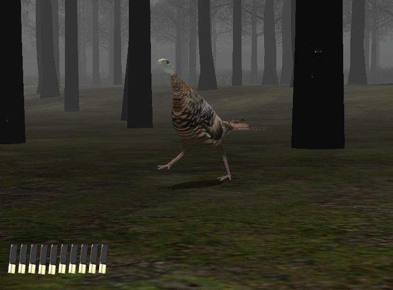 Canada Hunt [Nintendo Wii]