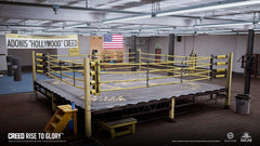 Creed: Rise to Glory - PSVR [PlayStation 4]