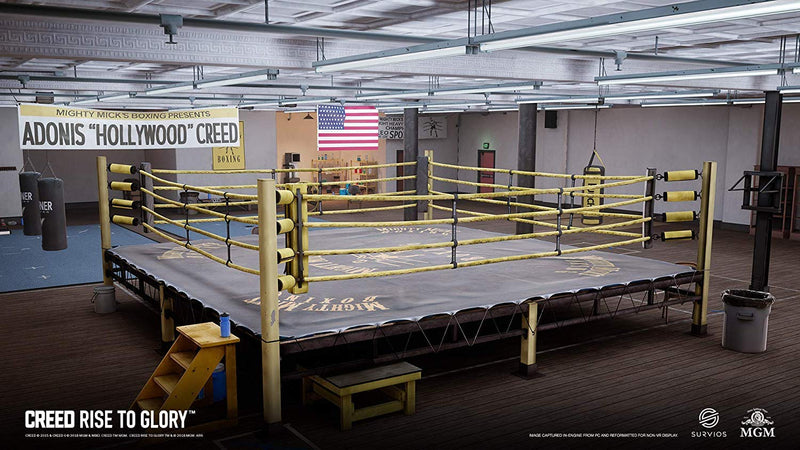 Creed: Rise to Glory - PSVR [PlayStation 4]