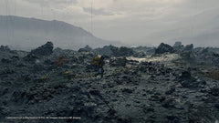 Death Stranding [PlayStation 4]