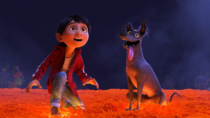 Disney's Coco [3D + 2D Blu-Ray]