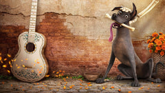 Disney's Coco [3D + 2D Blu-Ray]