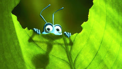 Disney Pixar's A Bug's Life - Limited Edition SteelBook [Blu-ray]