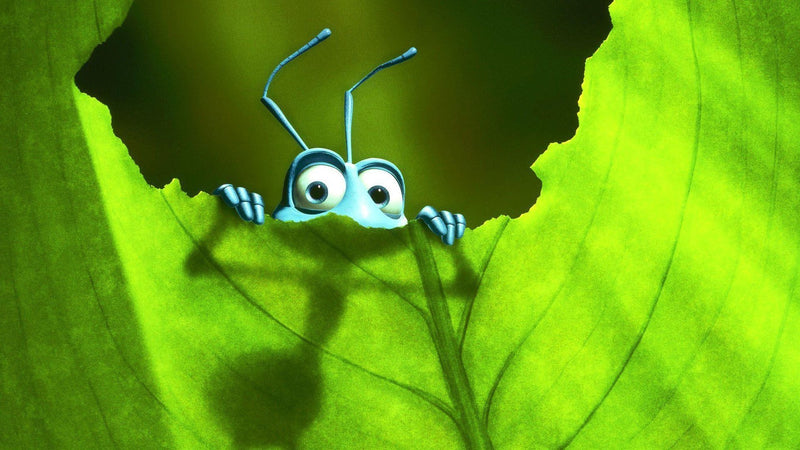 Disney Pixar's A Bug's Life - Limited Edition SteelBook [Blu-ray]