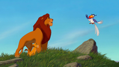 Disney's The Lion King: The Circle of Life Edition - The Walt Disney Signature Collection [Blu-Ray + DVD + Digital]