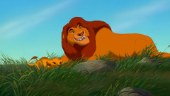 Disney's The Lion King: The Circle of Life Edition - The Walt Disney Signature Collection [Blu-Ray + DVD + Digital]