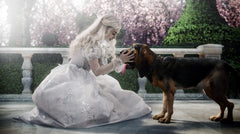 Disney's Alice in Wonderland - Live Action - Limited Edition SteelBook [Blu-ray + DVD + Digital]