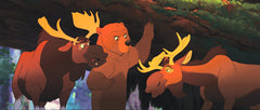Disney's Brother Bear - Limited Edition SteelBook [Blu-ray]