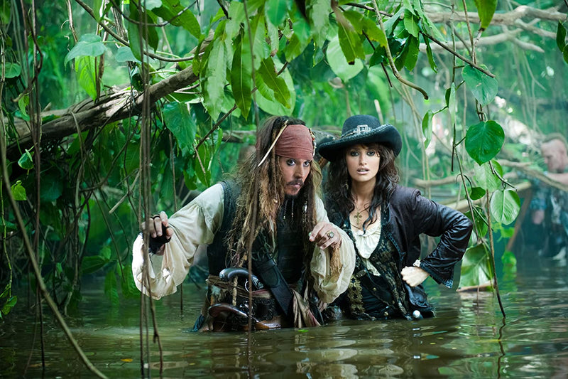 Disney's Pirates of the Caribbean: On Stranger Tides - Limited Edition SteelBook [3D + 2D Blu-ray + DVD + Digital]