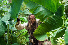 Disney's Pirates of the Caribbean: On Stranger Tides - Limited Edition SteelBook [3D + 2D Blu-ray + DVD + Digital]