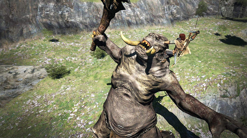Dragon's Dogma: Dark Arisen [Nintendo Switch]