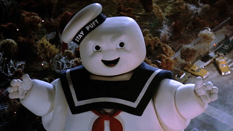 Ghostbusters / Ghostbusters 2 - Double Feature [DVD Box Set]