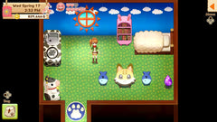 Harvest Moon: Light of Hope - Special Edition [Nintendo Switch]