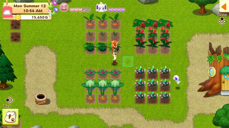 Harvest Moon: Light of Hope - Special Edition [Nintendo Switch]