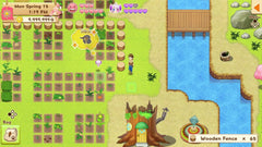 Harvest Moon: Light of Hope - Special Edition [Nintendo Switch]