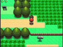 Pokémon Pearl Version [Nintendo DS DSi]