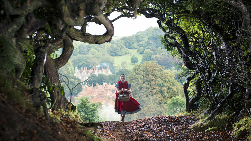 Into the Woods [Blu-ray]