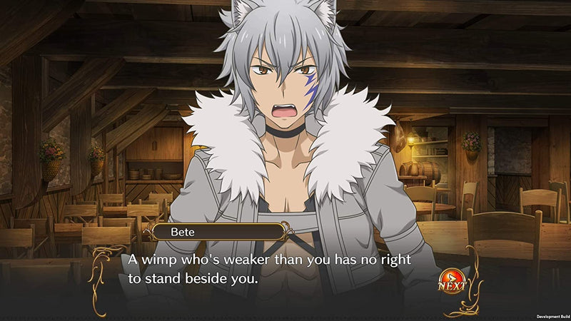 Is It Wrong to Try to Pick Up Girls in a Dungeon? Infinite Combate [Nintendo Switch]