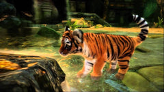 Kinectimals - Limited Edition w/ Maltese Tiger Plush [Xbox 360]