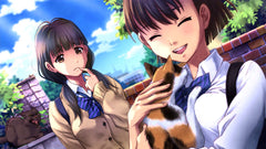 Kotodama: The 7 Mysteries of Fujisawa [PlayStation 4]
