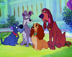 Disney's Lady and the Tramp - Limited Edition Collectible SteelBook [Blu-Ray]