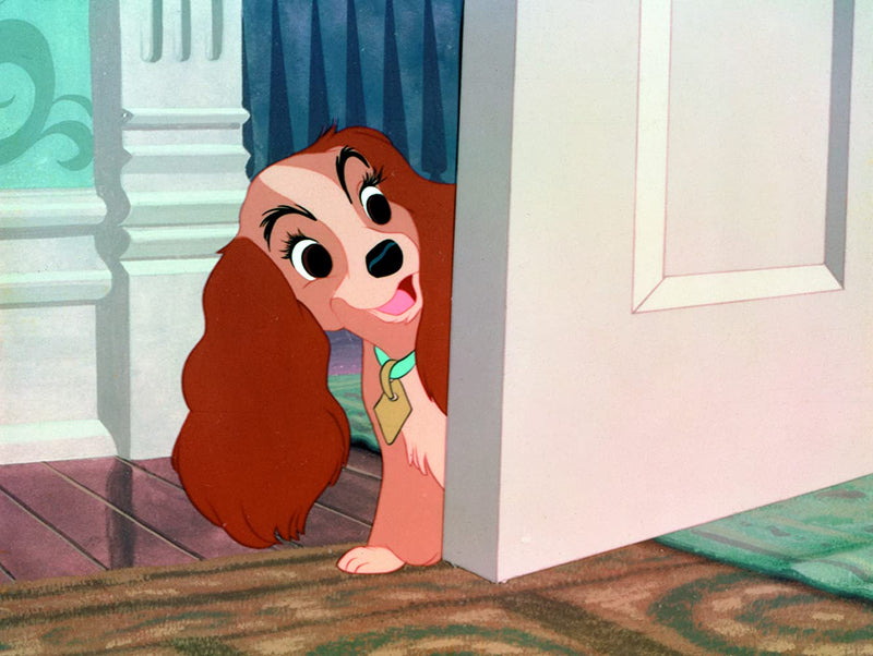 Disney's Lady and the Tramp - Limited Edition Collectible SteelBook [Blu-Ray]