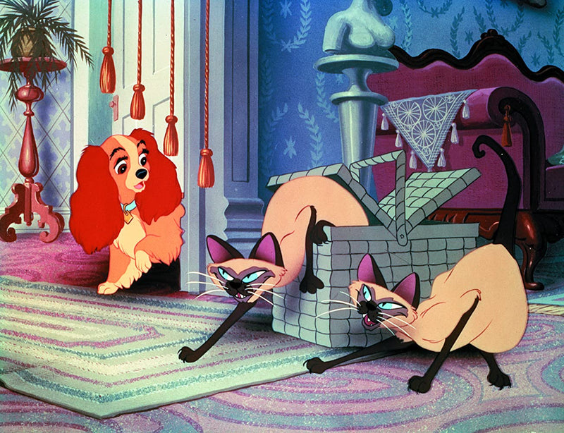 Disney's Lady and the Tramp - Limited Edition Collectible SteelBook [Blu-Ray]