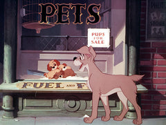Disney's Lady and the Tramp - Limited Edition Collectible SteelBook [Blu-Ray]