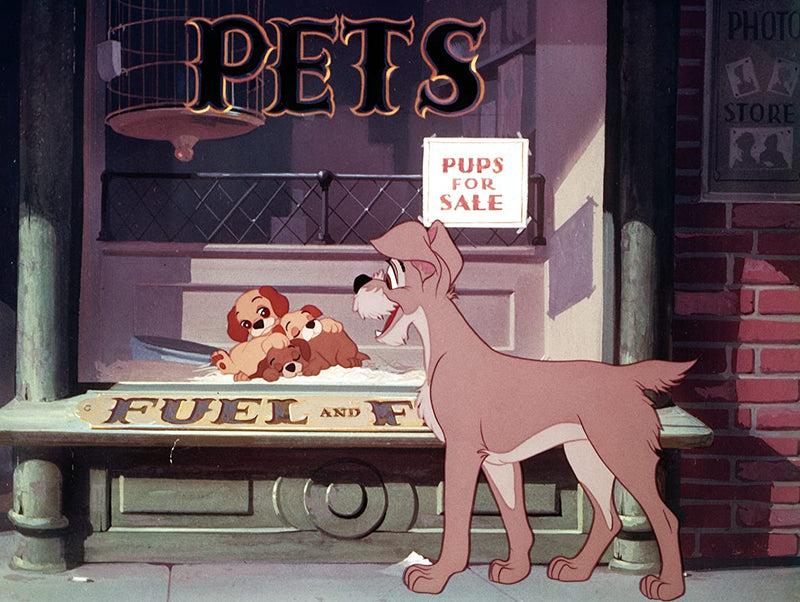 Disney's Lady and the Tramp - Limited Edition Collectible SteelBook [Blu-Ray]