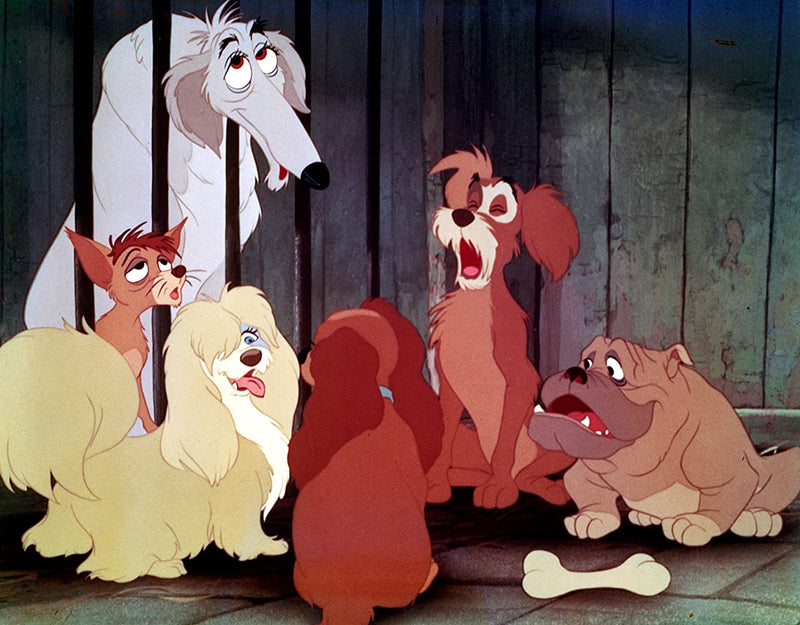 Disney's Lady and the Tramp - Limited Edition Collectible SteelBook [Blu-Ray]