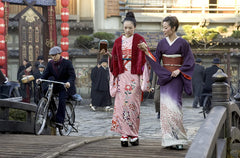 Memoirs of a Geisha [DVD]