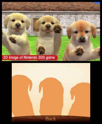 Nintendogs + Cats: Toy Poodle & New Friends [Nintendo 3DS]