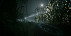 Outlast Trinity [PlayStation 4]