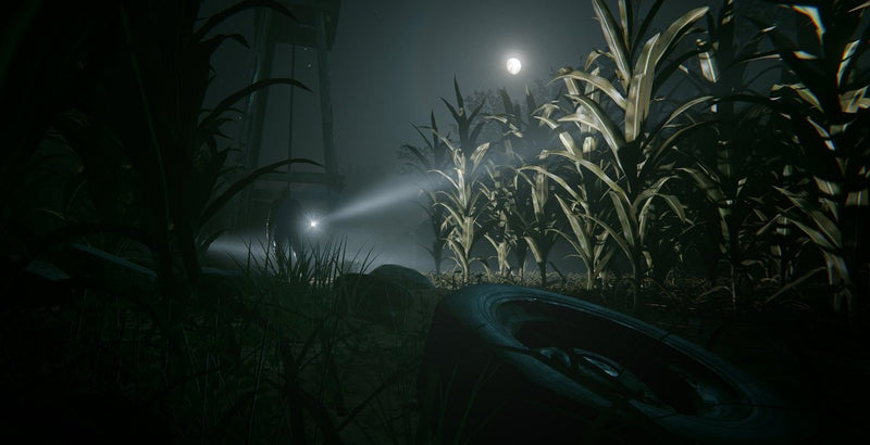 Outlast Trinity [PlayStation 4]