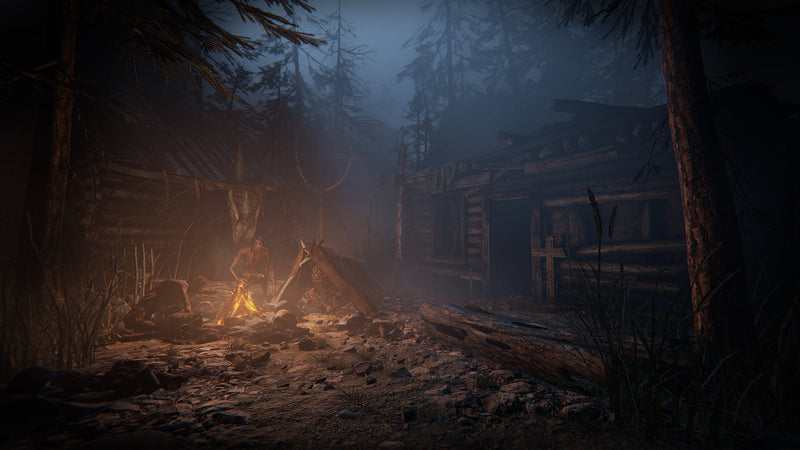 Outlast Trinity [PlayStation 4]