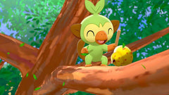 Pokemon Sword [Nintendo Switch]