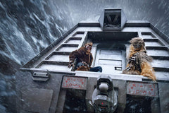 Solo: A Star Wars Story [Blu-ray + Digital]