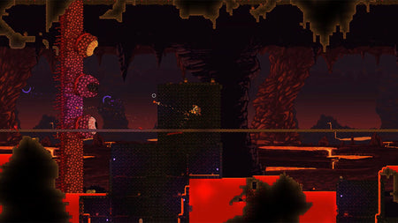 Terraria [Nintendo Switch]