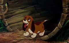 Disney's The Fox and the Hound + The Fox and the Hound 2 - 30th Anniversary Edition [Blu-Ray + DVD 2-Movie Collection]