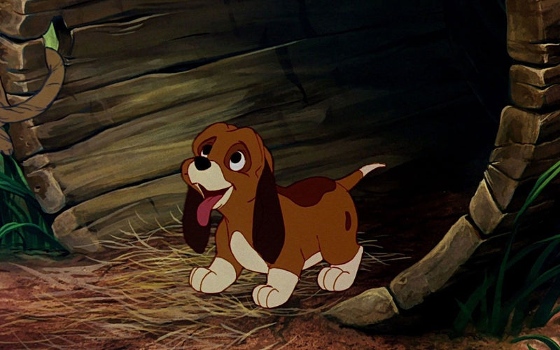 Disney's The Fox and the Hound + The Fox and the Hound 2 - 30th Anniversary Edition [Blu-Ray + DVD 2-Movie Collection]