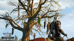 The Witcher 3: Wild Hunt - Complete Edition [Nintendo Switch]