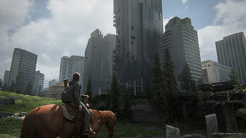 The Last Of Us Part II [PlayStation 4]